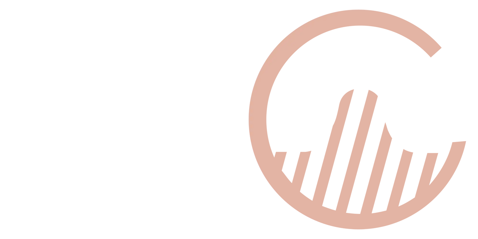 Appearance Icon Logo